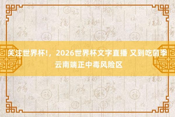 关注世界杯!，2026世界杯文字直播 又到吃菌季 云南端正中毒风险区