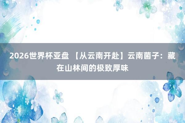 2026世界杯亚盘 【从云南开赴】云南菌子：藏在山林间的极致厚味