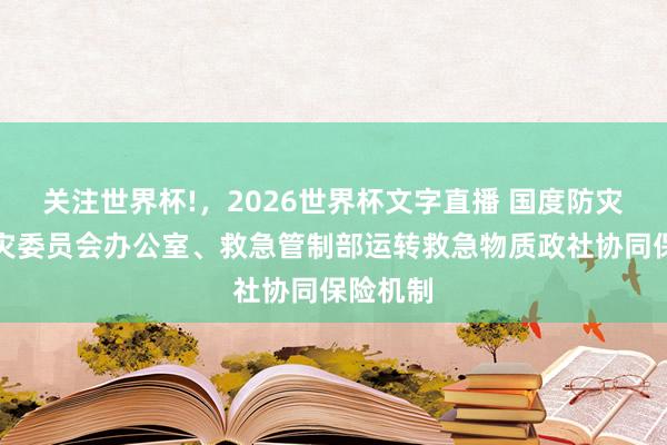 关注世界杯!，2026世界杯文字直播 国度防灾减灾救灾委员会办公室、救急管制部运转救急物质政社协同保险机制