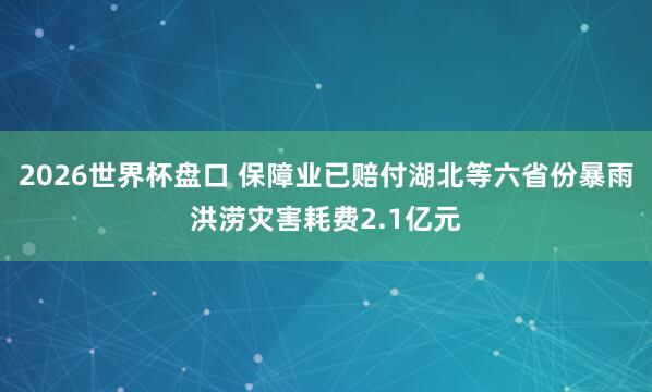 2026世界杯盘口 保障业已赔付湖北等六省份暴雨洪涝灾害耗费2.1亿元