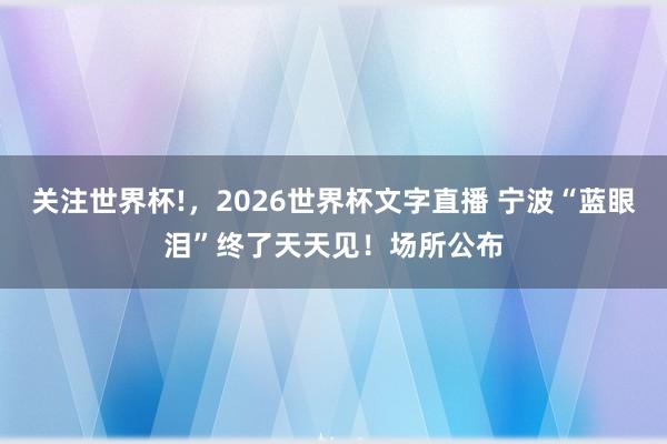 关注世界杯!，2026世界杯文字直播 宁波“蓝眼泪”终了天天见！场所公布