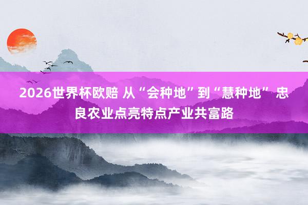2026世界杯欧赔 从“会种地”到“慧种地” 忠良农业点亮特点产业共富路