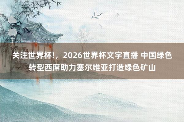 关注世界杯!，2026世界杯文字直播 中国绿色转型西席助力塞尔维亚打造绿色矿山