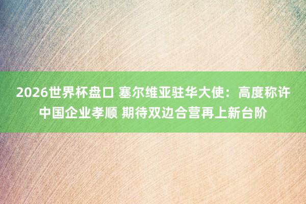 2026世界杯盘口 塞尔维亚驻华大使：高度称许中国企业孝顺 期待双边合营再上新台阶