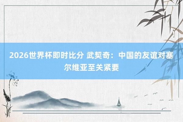 2026世界杯即时比分 武契奇：中国的友谊对塞尔维亚至关紧要
