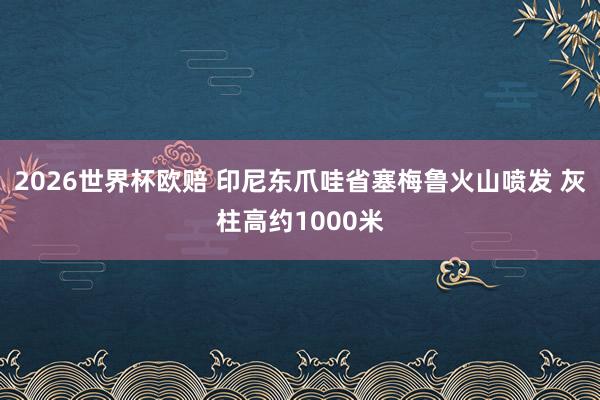 2026世界杯欧赔 印尼东爪哇省塞梅鲁火山喷发 灰柱高约1000米