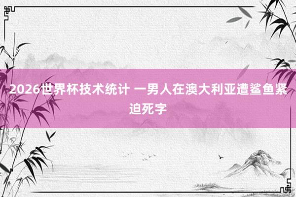 2026世界杯技术统计 一男人在澳大利亚遭鲨鱼紧迫死字