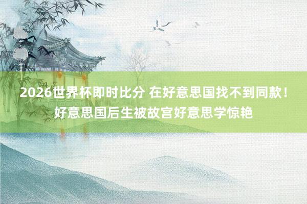 2026世界杯即时比分 在好意思国找不到同款！好意思国后生被故宫好意思学惊艳