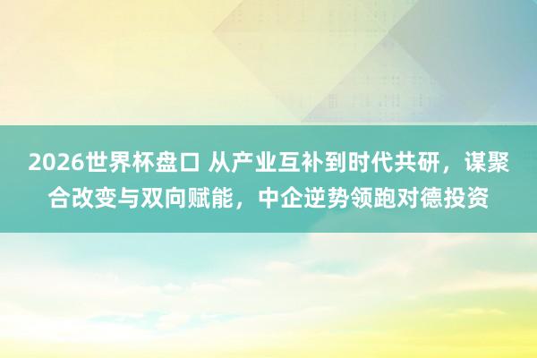 2026世界杯盘口 从产业互补到时代共研，谋聚合改变与双向赋能，中企逆势领跑对德投资