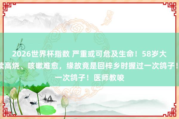 2026世界杯指数 严重或可危及生命！58岁大姨窘态持续高烧、咳嗽难愈，缘故竟是回梓乡时握过一次鸽子！医师教唆