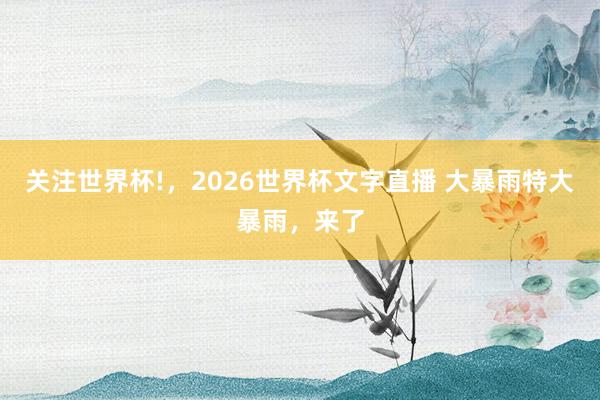 关注世界杯!，2026世界杯文字直播 大暴雨特大暴雨，来了