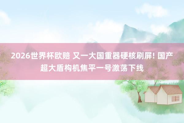 2026世界杯欧赔 又一大国重器硬核刷屏! 国产超大盾构机焦平一号激荡下线