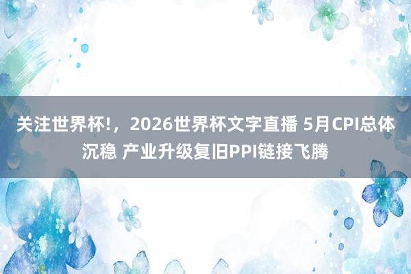 关注世界杯!，2026世界杯文字直播 5月CPI总体沉稳 产业升级复旧PPI链接飞腾