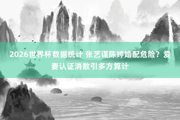 2026世界杯数据统计 张艺谋陈婷婚配危险？爱妻认证消散引多方算计