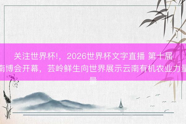 关注世界杯!，2026世界杯文字直播 第十届南博会开幕，芸岭鲜生向世界展示云南有机农业力量