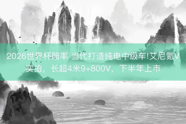 2026世界杯赔率 当代打造纯电中级车!艾尼氪V实拍,长超4米9+800V,下半年上市